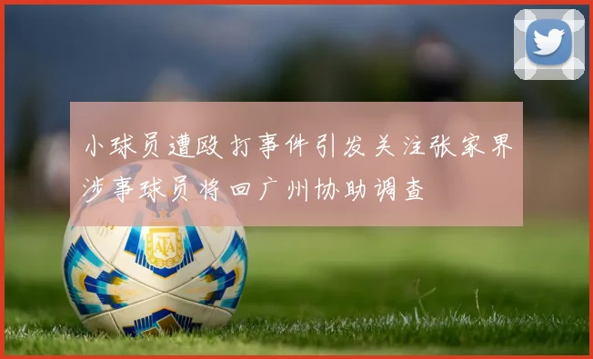 小球员遭殴打事件引发关注张家界涉事球员将回广州协助调查