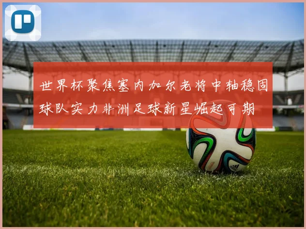 世界杯聚焦塞内加尔老将中轴稳固球队实力非洲足球新星崛起可期